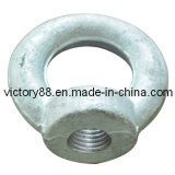 Drop Forged Steel Oval Eye Nut (E13)