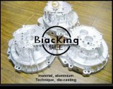 BlacKing Mould Co., Ltd.