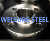 Stainless Steel Bw Socket Forging Flange