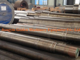 China OEM Stainless Steel Shaft/Forged Shafts, Linear Shaft