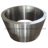 Stainless Steel Polished Forging Ring