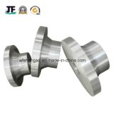 Customized Stainless Steel Forging of Stainless Steel Drop Forging