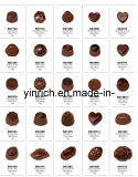 Chocolate Mould, Chocolate Plastic Mold