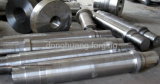 Forged Shaft, Shaft Forging in 4140 (DH004)