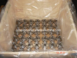 Pipe Fittings-Stainless / Carbon Steel Flange-4