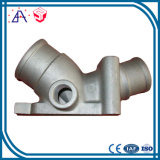 High Precision OEM Custom China Aluminium Alloy Ingot Die Casting (SYD0097)