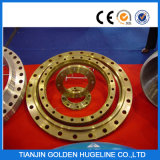 DIN Standard Stainless Steel Forged Flange