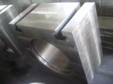 Steel Forging (LYR080) 