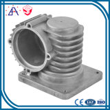 High Precision OEM Custom Aluminum Casting Parts (SYD0030)