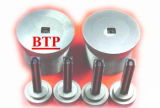 Best Price Carbide Cold Forging Tooling Tungsten Head Die (BTP-D318)