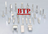 All Kinds of Carbide Cold Forging Punches (BTP-R185)