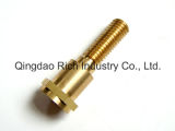Brass Product Forging Brass Parts/Brass Part/Forging Brass