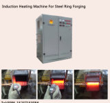 Induction Heating Equipment for Steel Ring Hot Forging