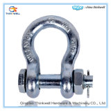 Top Quality G2130 Bolt Type Anchor Shackle with Pin