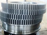 Hot Sale Forging Steel Worm Gear/Machining Wheel
