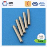 China Supplier High Precision Water Pump Shaft for Household Appliance