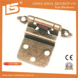 Steel Self Close Cabinet Hinge (CH198)
