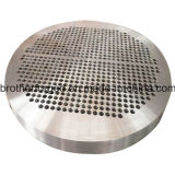 High Quality Stainless Steel Tube Sheet/Flange/Forging Parts