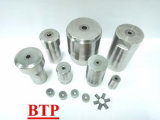 Tungsten&Carbide Cold Forging Head Die for Fastener (BTP-D173)