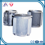 Professional Custom Die Casting Aluminum Parts (SYD0359)