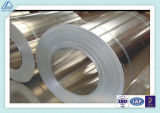 Special/Normal Size Cold/Hot Rolling Aluminum Coil of Ho/H14/H24 (3003, 3004, 3103, 3105)