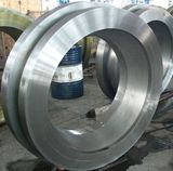 Forged Flange (HM-FS-03130048)