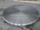 Rough Machined Surface Forged Flange