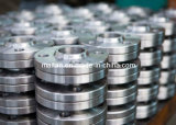 F317L Flange, Disc, Forging Stainless Steel