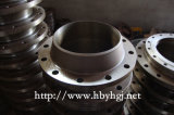 Forging Stainless Steel Flange