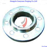 Socket Welding Flanges (JYLY) 