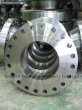 Detailed Info for Special Forging Flange