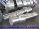 Custom Alloy Steel Forging Axis