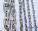 Ss304 or Ss316 DIN766 Link Chain