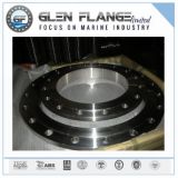 Stainless Steel Flat/Plate Flange