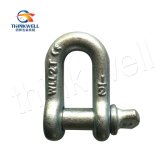 High Quality Carbon Steel Screw Pin G210 Dee Shackle