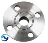 Stainless Steel Flange with Best Price