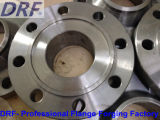 DIN Flange Factory Suppy