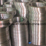 Stainless Steel JIS 10k Plate Flange