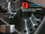 A182 F321 Stainless Steel Flanges