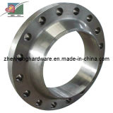 Stainless Steel Threaded Connection Forged Flange