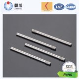 Professional Factory Precision Magnetic Stainless Iron Shaft for Sale