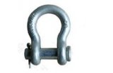 High Quality U. S. Type Round Pin Anchor Shackle (G213)