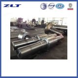 Stainless Steel Shaft with Competitive Price
