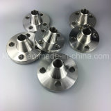 Ss Flange Stainless Steel Flange Wn Forged Flange as to ASME B16.5 (KT0142)