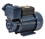 TPS60 Copper Wire Peripheral Water Pump Self Suction Pump