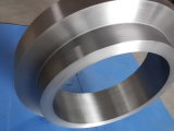 Stainless Steel Ring Forging (DH003)