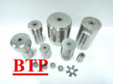 Tungsten Carbide Cold Forging Tooling Main Mould for Screw (BTP-D212)