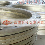 Professional Flange Manufacturer in China