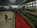 Hot Strip and Plate Rolling Mill