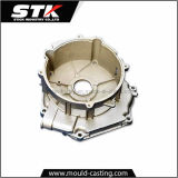 Aluminum Alloy Die Casting for Mechanical Part (STK-14-AL0047)